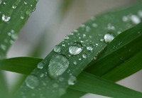 選択 2011/05/27 18:13:57