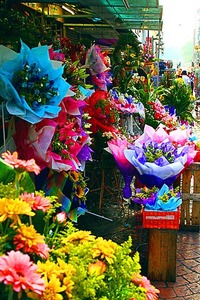 変えてみたけど・・・ 2011/05/12 22:17:27