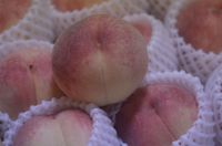 飛騨の桃 2011/08/15 22:41:41