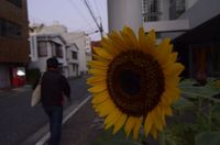 盛り上がってます（笑） 2011/09/30 12:36:21