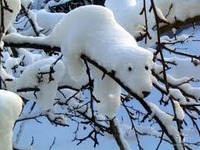 見れるかな♪ 2011/12/15 15:20:30