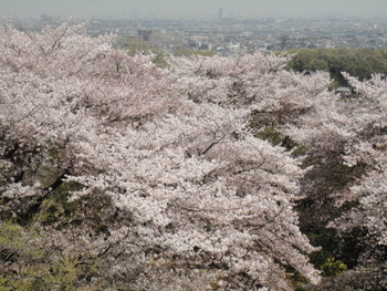 春の色