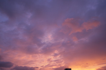 Purple sky