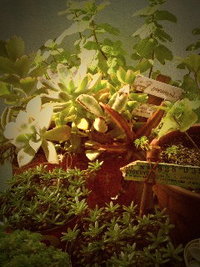 ☆日差しは暑いね～☆ 2012/04/08 16:06:45