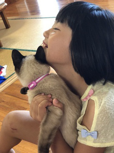 我が家の癒し♥
