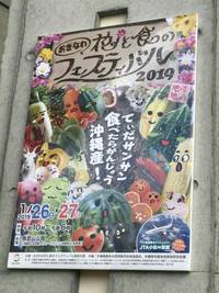 おきなわ花と食のフェスティバル2019