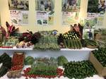 おきなわ花と食のフェスティバル2019