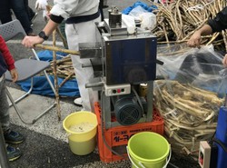 おきなわ花と食のフェスティバル2019