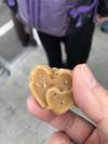 おきなわ花と食のフェスティバル2019
