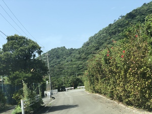 ☆令和☆初のボランティア清掃♪