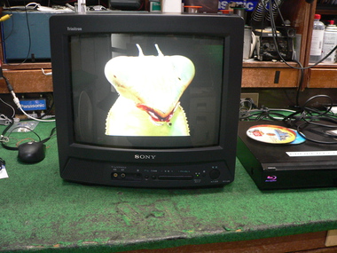 町田電化サービス｜家電 修理の公式ブログ:SONY KV-14GP3 修理 埼玉県