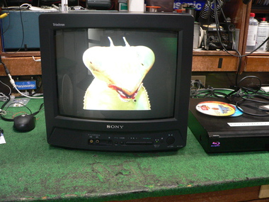町田電化サービス｜家電 修理の公式ブログ:SONY KV-14GP3 修理 埼玉県