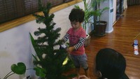 Ｘｍａｓツリー＆イルミネーション（＾◇＾） 2014/12/03 15:02:34