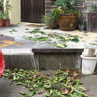 台風２４号 2018/09/28 12:14:56