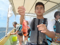 釣って！食べて！！ 2016/07/11 19:54:12