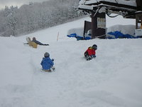 朝から夜まで大はしゃぎ♪ 2016/12/30 21:38:49