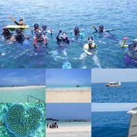 お盆休みin石垣島 2019/08/11 23:28:37