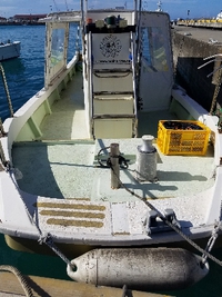 石垣島体験釣り 2019/05/31 11:29:00