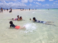 夏休み体験型コース 2019/07/30 09:56:56