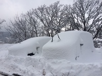 Ｌｅｔ’ｓ雪かき！！ 2016/02/10 17:44:10
