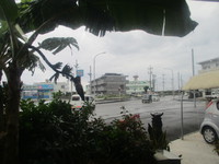 今日も雨～；；； 2019/01/16 09:33:11