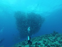 2015年5月Gw粟国島フデン崎特集 2015/05/08 09:36:14
