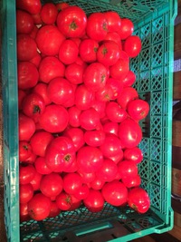4月16日の記事 2014/04/16 23:53:56
