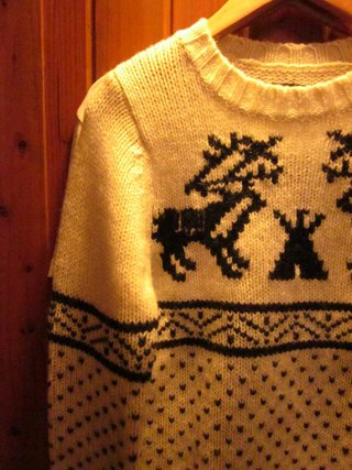 HH Nordicrew sweater