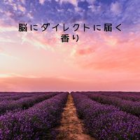 脳にダイレクトに届く香り 2021/10/04 13:17:58