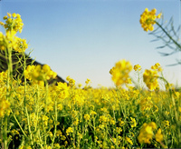 All the best for your future 2013/03/02 14:22:47