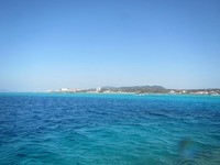 春は大好きです！ 2013/03/09 17:19:48