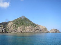 もう陸は真夏です。 2013/03/10 18:06:28