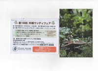 第18回 ウッディフェアのお知らせ 2013/11/06 01:43:54