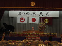 桜・　３月 2013/03/11 01:02:39