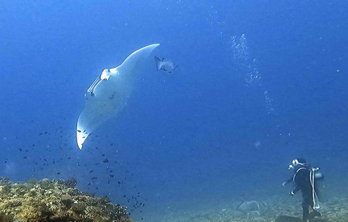 10/1  下曽根/黒島西/ウチザン礁