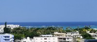 沖縄に来ております'19〜野菜ソムリエもね 2019/03/02 21:16:04