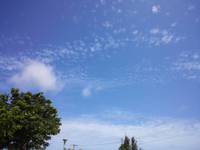公園〜♪ 2013/06/26 10:32:42