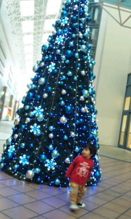 クリスマスツリーをさがすのダ♪ 2011/11/28 13:02:54