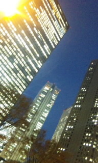 新宿高層ビル街と都庁と博品館トイパーク 2011/12/13 10:13:44