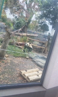 上野動物園 2011/12/13 12:12:18