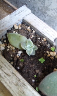 あけましておめでとう(*^o^*) 2012/01/01 23:58:49