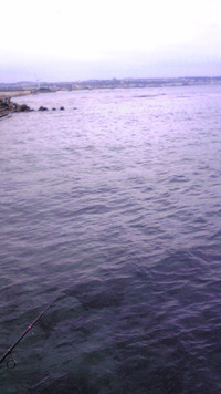 ↑イカNightイカなイカもよ↓ 2009/10/15 04:01:53