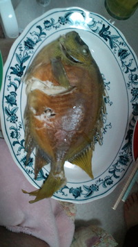 ？？？ 2010/03/03 22:15:07