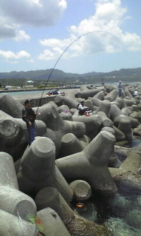 シャクチマスター 2009/05/04 12:05:59