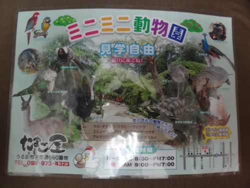 雨の日には・・・