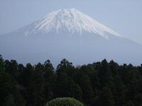 富士の見える妹の家 2009/06/08 12:29:30