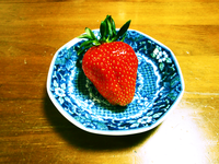 やっぱりセレブ♪