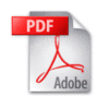 情報商材PDF