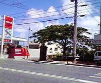 ７月１４日の報告 2009/07/14 18:26:59