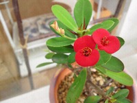 2011年10月21日